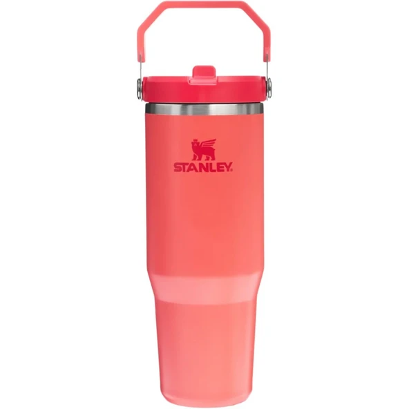 Stanley 10-12043-076 The IceFlow Flip Straw 0,89 Litre Pipetli Termos - Mercan ürün görseli 1
