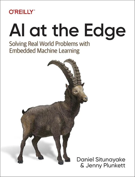 AI at the Edge: Solving Real-World Problems with Embedded Machine Learning Situnayake Plunkett ürün görseli 1