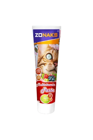 MALT PASTE | MULTIVITAMIN VE ORMAN MEYVELİ , 100 GR ürün görseli 1