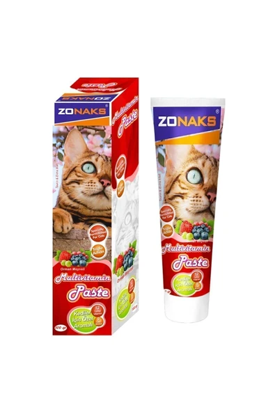 MALT PASTE | MULTIVITAMIN VE ORMAN MEYVELİ , 100 GR - Resim 2