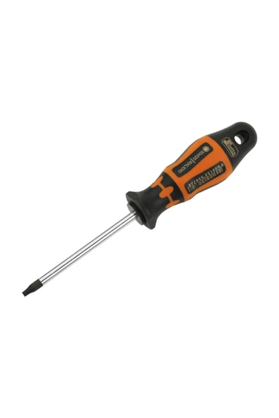 Rx Serisi Delikli Torx Tornavida T25 x 100 mm ürün görseli 1
