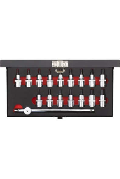 17 Parça 1/2” Torx Ve Lokmalı Allen Takımı C28s-17pth ürün görseli 1