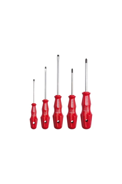 5 Pc.torex Tornavida Tk.-düz ürün görseli 1