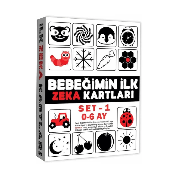 2199 EĞİTİCİ KARTLAR 0-6 AY ZEKA KARTLARI ürün görseli 1