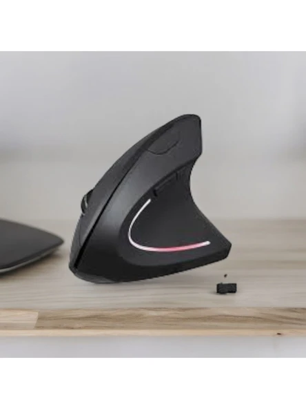 Lekvey Dikey Ergonomik Kablosuz Mouse 1600 DPI USB Optik Mouse - Resim 4