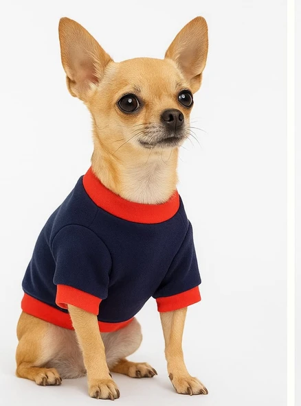 Atolyee Zuzu Küçük Irk Köpek Sweatshirt Kışlık ürün görseli 1
