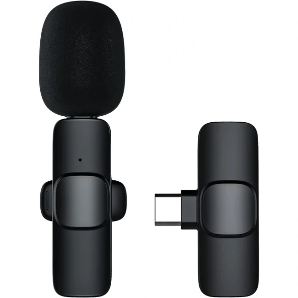 Mini Yaka Mikrofonu Type-C Uyumlu - Resim 2