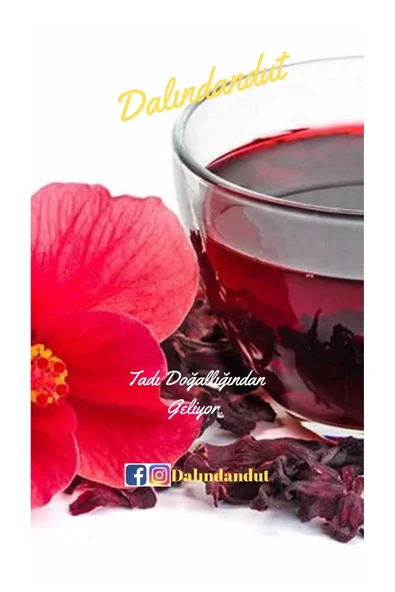 Dalındandut Yeni Mahsul Hibiskus Çayı 1 kg ( Doğal Kurutulmuş, Katkısız ) ürün görseli 1