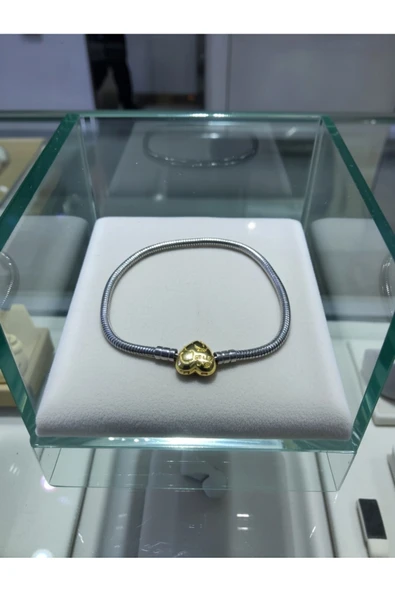 Jadem Gold Kalpli Zirkon Taşlı Paslanmaz Çelik Charm Bileklik ürün görseli 1