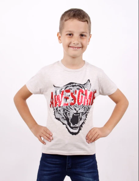 Toontoy Erkek Çocuk Baskılı Bisiklet Yaka Kısa Kollu Tişört ürün görseli 1