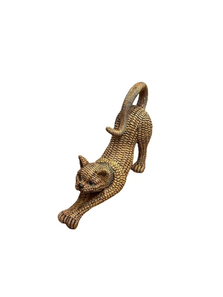 Polyester Kedi ürün görseli 1