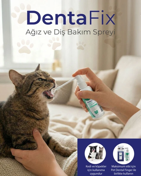 DentaFix AĞIZ ve DİŞ BAKIM SPREYİ - Resim 2