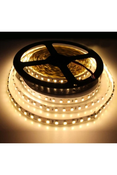 Cata Ct-4481 Led Şerit Günışığı Işık 5mt ürün görseli 1