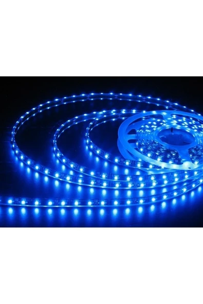Cata 5 Metre On Çip Şerit Led Iç Mekan Mavi Işık ürün görseli 1