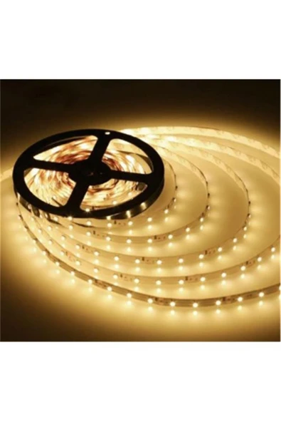 Cata 10 Çip Günışığı Şerit Led İç Mekan 5 Metre Ct-4481 ürün görseli 1