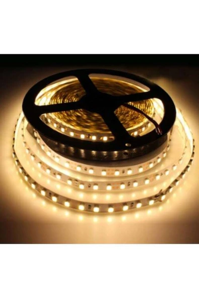 Cata 10 Çipli 5 Metre Gün Işığı Renk Iç Mekan Şerit Led (CT-4481)(PİLLİ DEĞİL)(12V TRAFO ILE ÇALIŞIR) ürün görseli 1