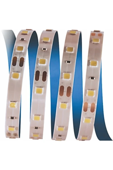 Cata 15 METRE CT 4481 İç Mekan 12V 10 Çipli Şerit Led 3200K Günışığı ürün görseli 1