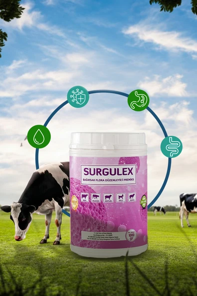 ÖZTAR İLAÇ Surgulex Bağırsak Flora Premiksi 1000 gr – Büyükbaş & Küçükbaş Uyumlu ürün görseli 1