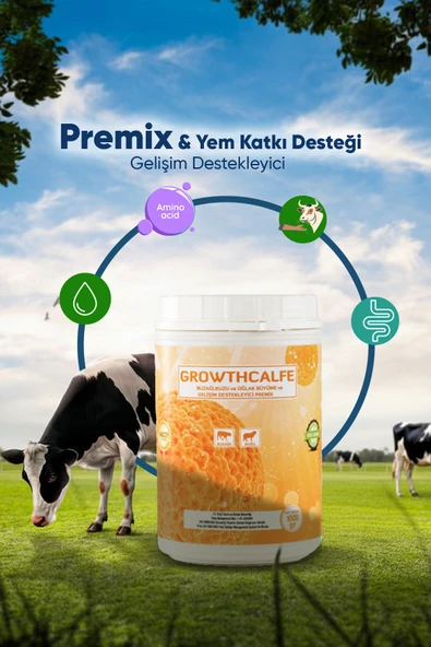 ÖZTAR İLAÇ Growthcalfe Buzağı, Kuzu, Oğlak Gelişim Destekleyici Premiks Büyütme ve Geliştirme Premiksi 1 Kg ürün görseli 1