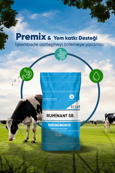 ÖZTAR İLAÇ Ruminant SB Vitaminli Tamponlayıcı Yem Katkısı Büyükbaş & Küçükbaş 25 Kg ürün görseli 1