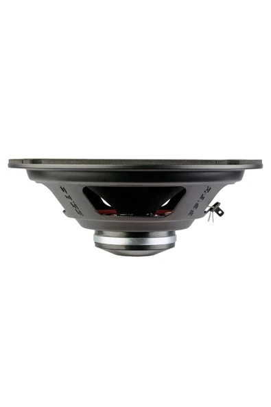 Reiss Audio RS-M8NX 20Cm Midrange (400 Watt) - Resim 2