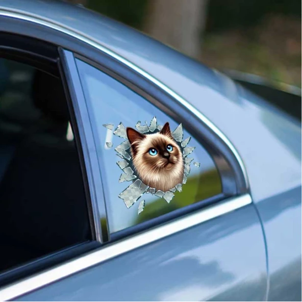 Fulcar Siamesse Araç Stickerı ürün görseli 1