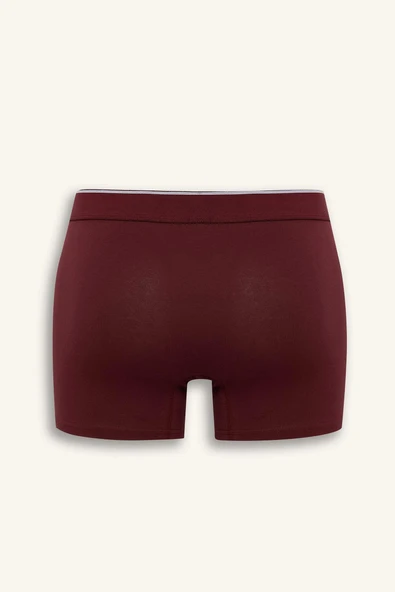 Defacto G2983AXBK81 Siyah Regular Fit 3'lü Boxer - Resim 3