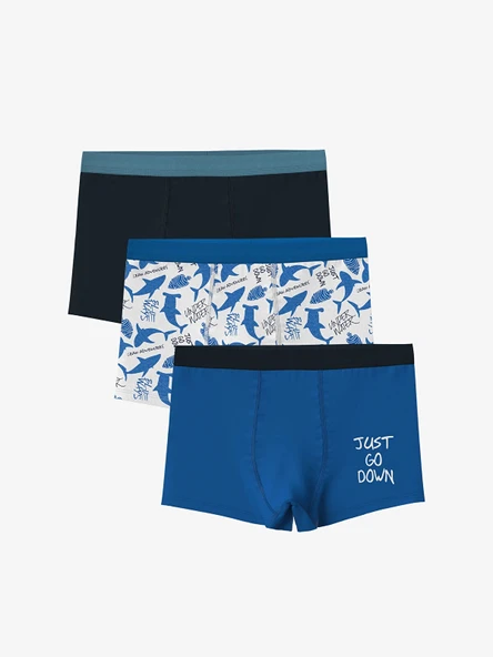LCW Kids Ekru Baskılı Erkek Çocuk Boxer 3'lü ürün görseli 1