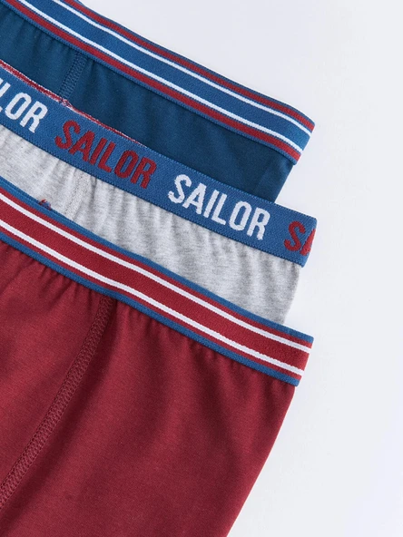 LCW Kids Bordo Basic Pamuklu Erkek Çocuk Boxer 3'lü - Resim 3