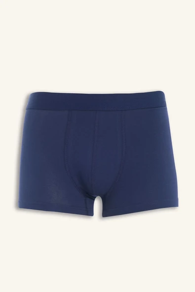 Defacto E7207 Lacivert Regular Fit 3'lü Boxer - Resim 6