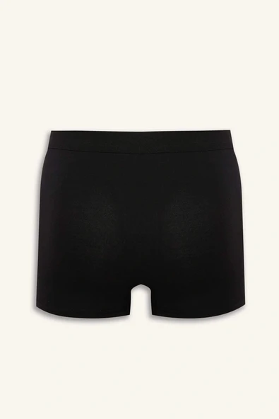 Defacto N4277AZBK27 Siyah Regular Fit 3'lü Boxer - Resim 3