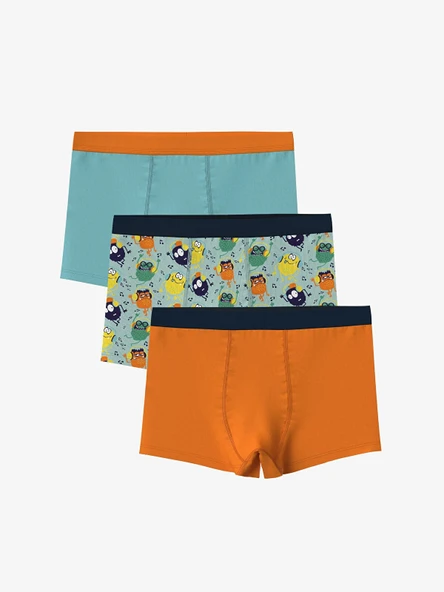 LCW Kids Turkuaz Baskılı Erkek Çocuk Boxer 3'lü ürün görseli 1