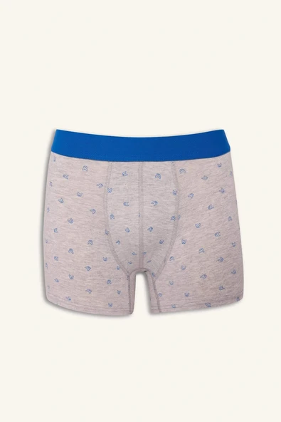 Defacto G4673AXBE103 Mavi Regular Fit Baskılı 3'lü Boxer - Resim 5