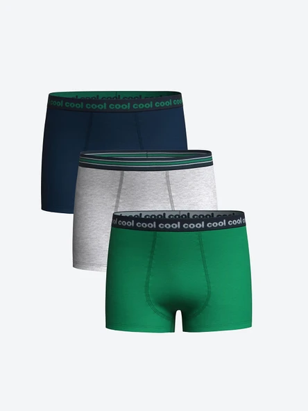 LCW Kids Yeşil Baskılı Erkek Çocuk Boxer 3'lü ürün görseli 1