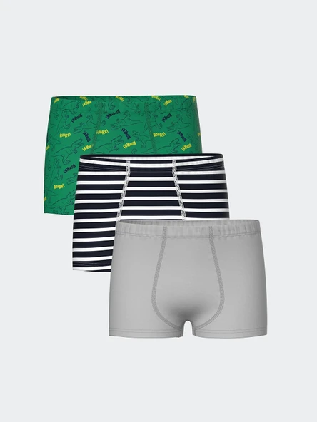LCW Kids Yeşil Baskılı Erkek Çocuk Boxer 3'lü ürün görseli 1