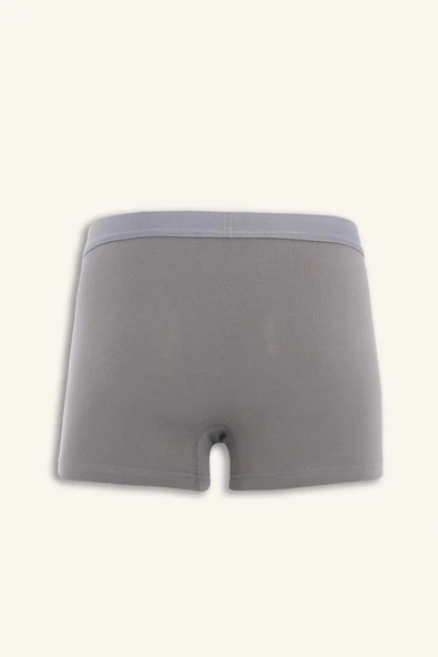 Defacto E7207 Lacivert Regular Fit 3'lü Boxer - Resim 3