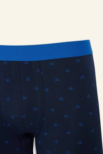 Defacto G4673AXBE103 Mavi Regular Fit Baskılı 3'lü Boxer - Resim 4