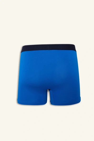 Defacto G4673AXBE103 Mavi Regular Fit Baskılı 3'lü Boxer - Resim 6