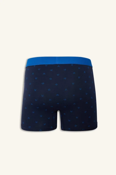 Defacto G4673AXBE103 Mavi Regular Fit Baskılı 3'lü Boxer - Resim 3