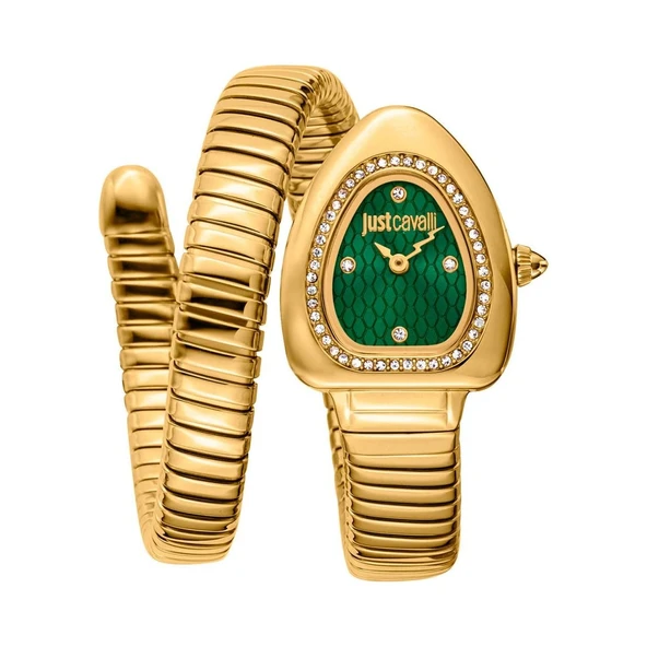 Just Cavalli JC1L249M0035 Kadın Kol Saati ürün görseli 1