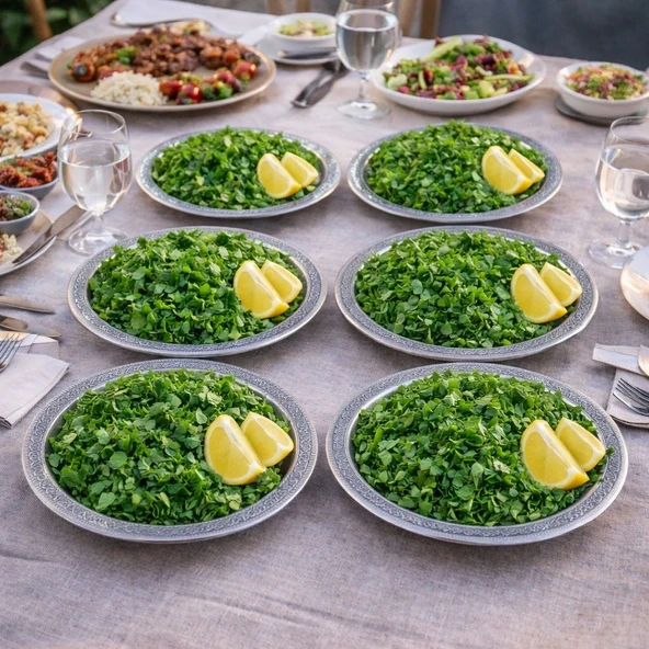 20 cm Servis Sunum Tepsisi 6 ADET 430 Kalite Krom Çelik – Fırına Uygun, Kararma Yapmaz, Meze Kebap Kahve Sunumluk ürün görseli 1