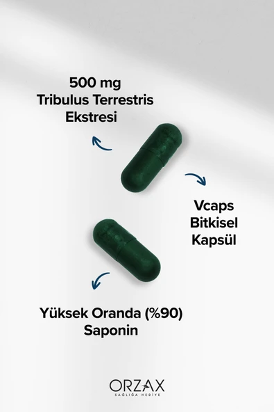 OCEAN TRIBULUS TERRESTRIS 500 MG 60 CAP. - Resim 3
