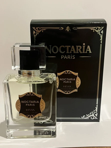 Noctaria Paris Levan Erkek Parfümü 50 ml Ferah Odunsu Yüksek Esanslı&Kalıcı ürün görseli 1