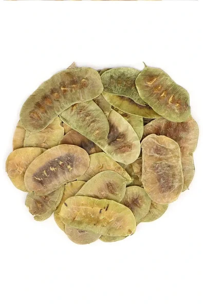 Organik Taze Dökme Açlık Otu 250 Gr ürün görseli 1