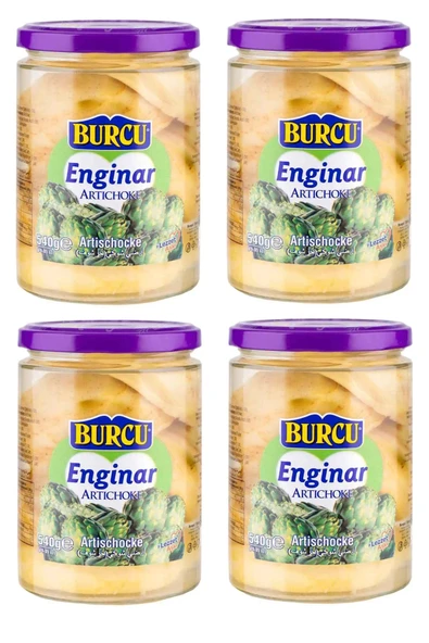 Burcu Enginar Konservesi Cam 540 gr x 4 Adet ürün görseli 1
