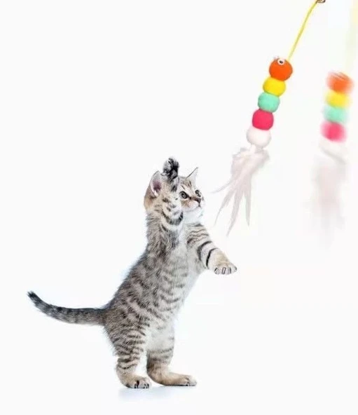 Elastik Kendinden Yapışkanlı Solucan Kedi Oltası - Resim 4