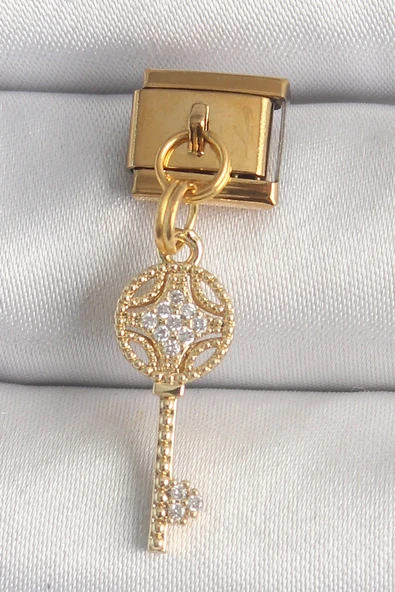 316L Çelik Gold Renk Sallantı Zirkon Taşlı Anahtar Model Nomination Charm ürün görseli 1