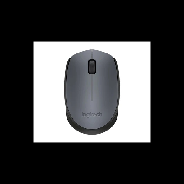 LOGITECH 910-004424, M171 Siyah, USB Nano 2,4G Kablosuz, 1000dpi, Optik, 3 Tuşlu, 12ay Pil Ömrü, Mouse ürün görseli 1