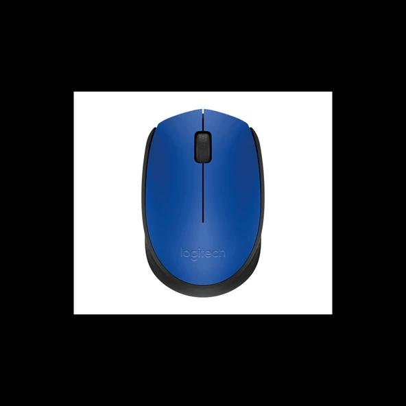 LOGITECH 910-004640, M171 Mavi, USB Nano 2,4G Kablosuz, 1000dpi, Optik, 3 Tuşlu, 12ay Pil Ömrü, Mouse ürün görseli 1