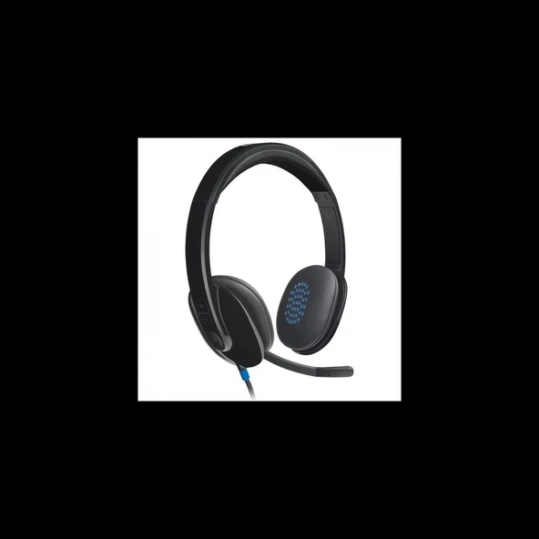 LOGITECH H540, 981-000480, USB, Çağrı Merkezi, Ofis, Toplantı, Konuşmacı Tipi, Microfonlu Kulaklık ürün görseli 1
